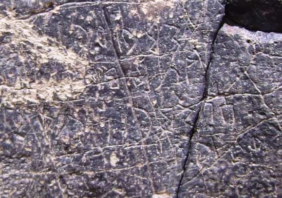 الشرعي ضركام18